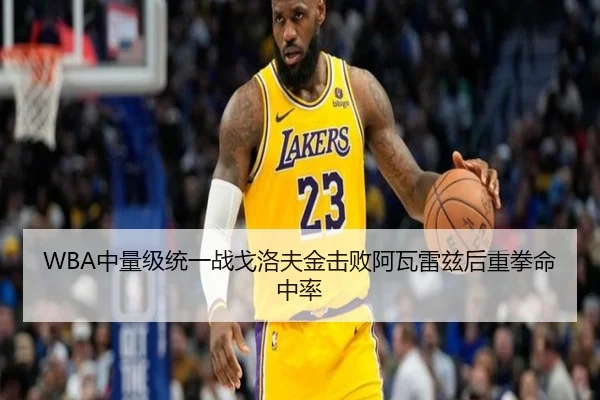 WBA中量级统一战戈洛夫金击败阿瓦雷兹后重拳命中率