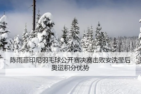 陈雨菲印尼羽毛球公开赛决赛击败安洗莹后奥运积分优势